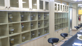 1-Maritime-University